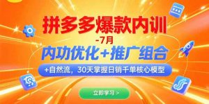 拼多多爆款内训-7月 内功优化+推广组合+自然流 30天掌握日销千单核心模型-黑斯坦丁项目网