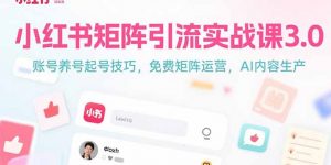 小红书矩阵引流实战课3.0：账号养号起号技巧，免裴矩阵运营，AI内容生产-黑斯坦丁项目网