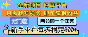 全新项目 种草平台 只需要转发任务视频 即可获得收益 新手小白每天300+-黑斯坦丁项目网