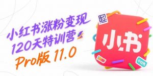小红书涨粉变现120天特训营Pro版11.0：从0到1掌握平台运营,内容制作和变现-黑斯坦丁项目网