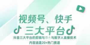 视频号、快手、抖音三大平台的剪辑与数字人直播技术，内容涵盖20+热门赛道-黑斯坦丁项目网