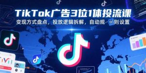 TikTok广告3位1体投流课，变现方式盘点，投放逻辑拆解，自动规则设置-黑斯坦丁项目网