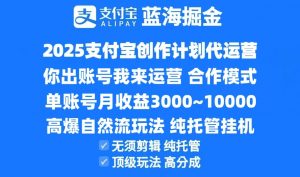 2025支付宝创作分成计划代运营，高爆自然流玩法，纯挂机高分成，合作共赢模式！-黑斯坦丁项目网
