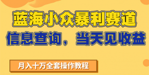 蓝海小众暴利赛道，信息查询，当天见收益，不讲玄学，7天搞了2万+-黑斯坦丁项目网