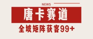 唐卡赛道私域引流获客 自热矩阵SOP日引流99+精准客资-黑斯坦丁项目网