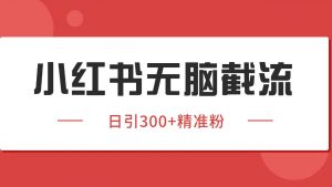 小红书截流同行客源，独家野路子获客玩法 日引200+暴力获客-黑斯坦丁项目网