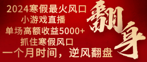 （8766期）2024年最火寒假风口项目 小游戏直播 单场收益5000+抓住风口 一个月直接提车-黑斯坦丁项目网