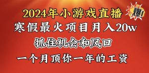 （8778期）2024年寒假爆火项目，小游戏直播月入20w+，学会了之后你将翻身-黑斯坦丁项目网