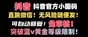 （8773期）抖音二维码直跳微信技术！站内随便发不违规！！-黑斯坦丁项目网