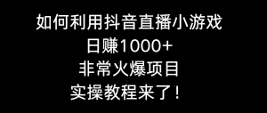 （8870期）如何利用抖音直播小游戏日赚1000+，非常火爆项目，实操教程来了！-黑斯坦丁项目网