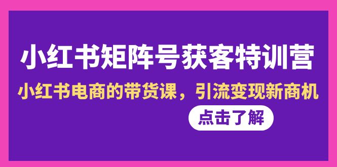 （8909期）小红书-矩阵号获客特训营-第10期，小红书电商的带货课，引流变现新商机-黑斯坦丁项目网