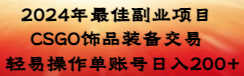 （8941期）2024年最佳副业项目 CSGO饰品装备交易 轻易操作单账号日入200+-黑斯坦丁项目网