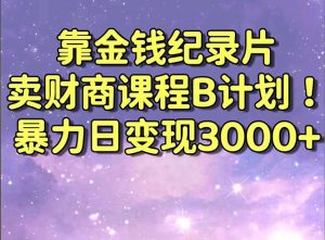 （8944期）靠金钱纪录片卖财商课程B计划！暴力日变现3000+，喂饭式干货教程！-黑斯坦丁项目网