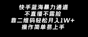 （8961期）快手蓝海暴力通道，不直播不露脸，靠二维码轻松月入1W+，操作简单易上手-黑斯坦丁项目网