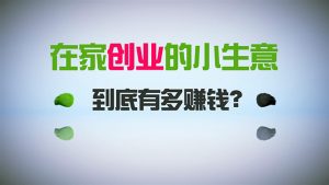 (8999期)在家创业,日引300+创业粉,一年收入30万,闷声发财的小生意,比打工强-黑斯坦丁项目网