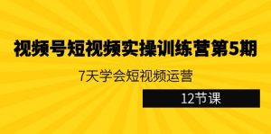 （9029期）视频号短视频实操训练营第5期：7天学会短视频运营（12节课）-黑斯坦丁项目网