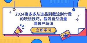 （9037期）2024拼多多从选品到截流到付费的玩法技巧，截流自然流量玩法，高投产玩法-黑斯坦丁项目网