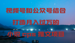 （9059期）视频号和公众号结合打造月入过万的小说cps推文项目-黑斯坦丁项目网