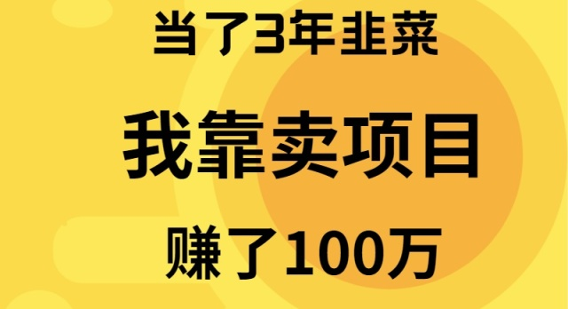 （9100期）当了3年韭菜，我靠卖项目赚了100万-黑斯坦丁项目网