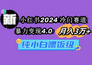 （9134期）小红书2024冷门赛道 月入3万+ 暴力变现4.0 纯小白喂饭级-黑斯坦丁项目网