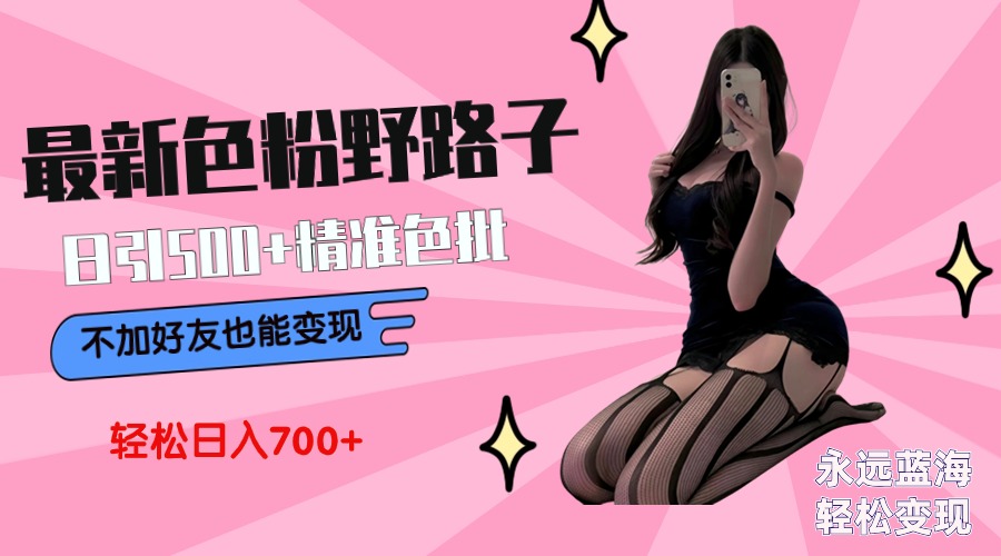 （9119期）最新色粉变现野路子，日引500+老色批 可不加好友直接变现 小白轻松日入700+-黑斯坦丁项目网