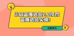 (9189期)拼多多培训第33期:小众蓝海选品2.0技术-蓝海选品实操!-黑斯坦丁项目网