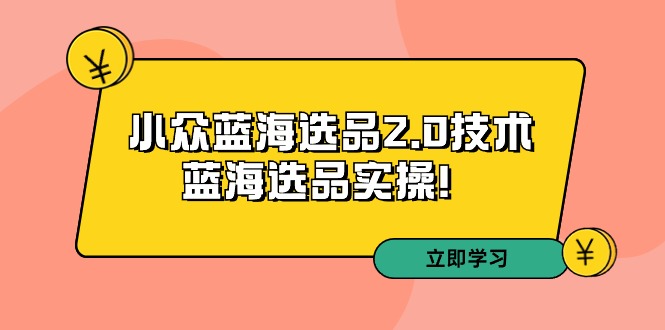 （9189期）拼多多培训第33期：小众蓝海选品2.0技术-蓝海选品实操！-黑斯坦丁项目网