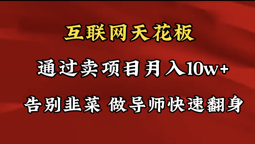 （9201期）导师训练营互联网的天花板，让你告别韭菜，通过卖项目月入10w+，一定要…-黑斯坦丁项目网