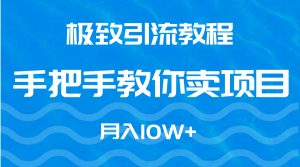 （9265期）极致引流教程，手把手教你卖项目，月入10W+-黑斯坦丁项目网