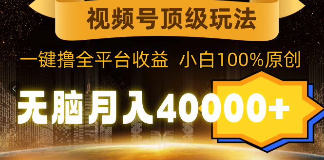 （9281期）视频号顶级玩法，无脑月入40000+，一键撸全平台收益，纯小白也能100%原创-黑斯坦丁项目网