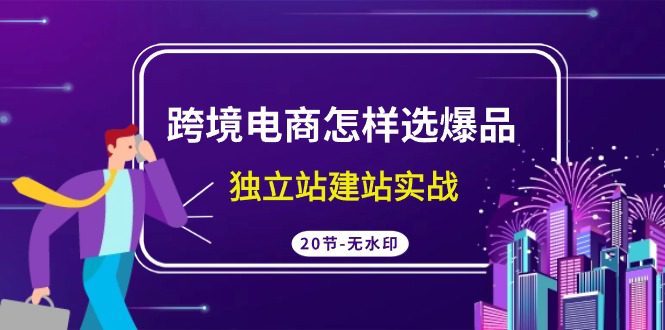 （9369期）跨境电商怎样选爆品，独立站建站实战（20节高清无水印课）-黑斯坦丁项目网