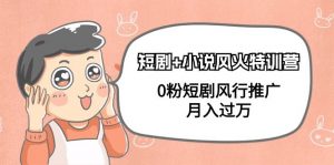 (9374期)短剧+小说风火特训营,0粉短剧风行推广,月入过万(102节课)-黑斯坦丁项目网