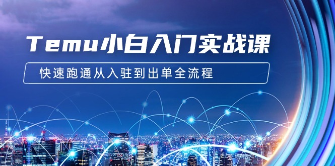 （9295期）Temu小白入门实战课：跨境拼多多电商培训 快速跑通从入驻到出单全流程-12节-黑斯坦丁项目网