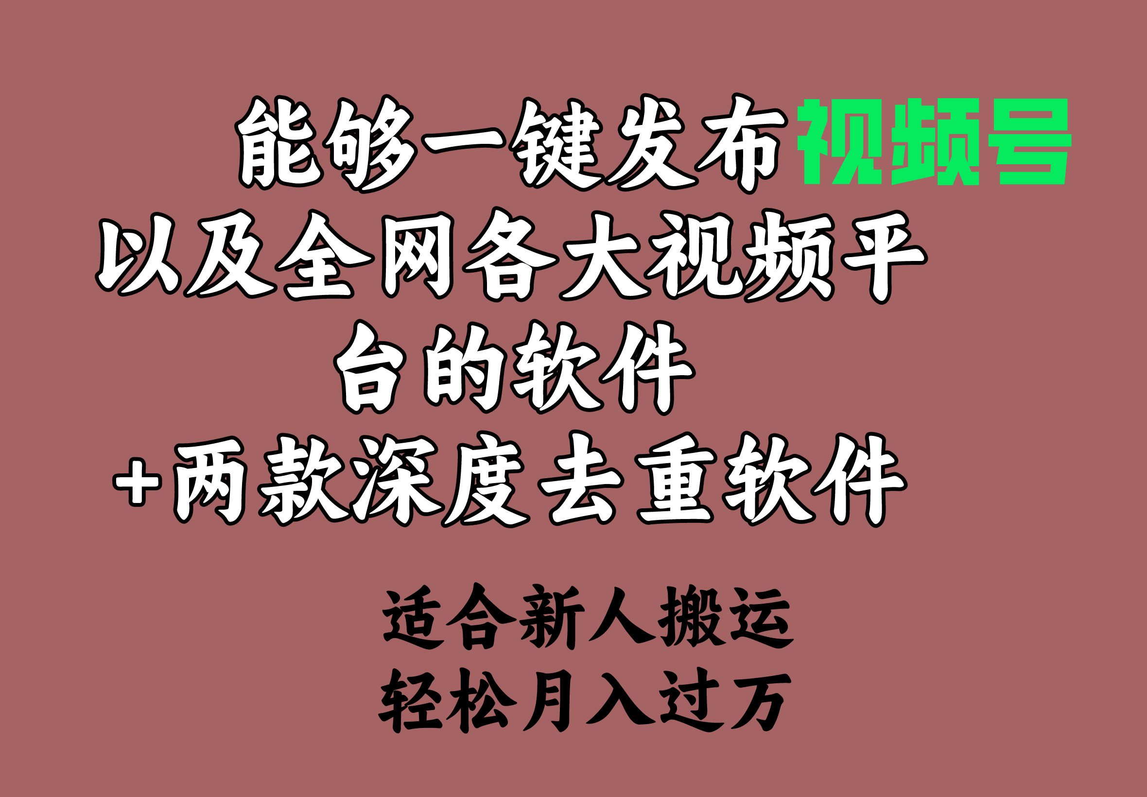 （9319期）能够一键发布视频号以及全网各大视频平台的软件+两款深度去重软件 适合…-黑斯坦丁项目网