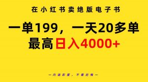 （9401期）在小红书卖绝版电子书，一单199 一天最多搞20多单，最高日入4000+教程+资料-黑斯坦丁项目网