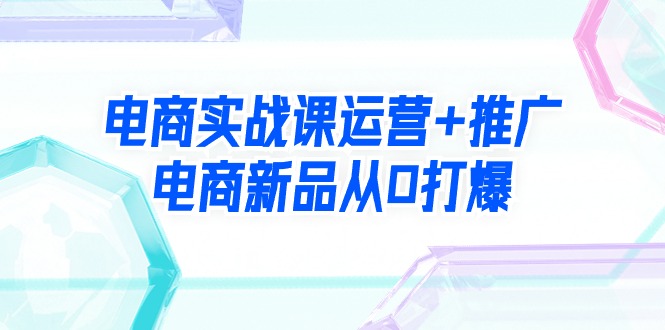 （9313期）电商实战课运营+推广，电商新品从0打爆（99节视频课）-黑斯坦丁项目网