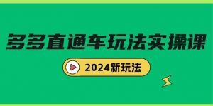 （9412期）多多直通车玩法实战课，2024新玩法（7节课）-黑斯坦丁项目网