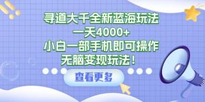 （9479期）寻道大千全新蓝海玩法，一天4000+，小白一部手机即可操作，无脑变现玩法！-黑斯坦丁项目网