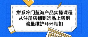 （9527期）拼系冷门蓝海产品实操课程，从注册店铺到选品上架到流量维护环环相扣-黑斯坦丁项目网