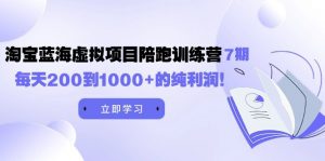 （9541期）黄岛主《淘宝蓝海虚拟项目陪跑训练营7期》每天200到1000+的纯利润-黑斯坦丁项目网