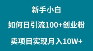（9556期）新手小白如何通过卖项目实现月入10W+-黑斯坦丁项目网