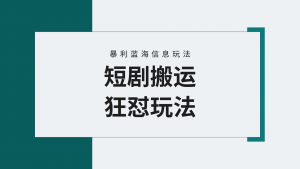 （9558期）【蓝海野路子】视频号玩短剧，搬运+连爆打法，一个视频爆几万收益！附搬…-黑斯坦丁项目网