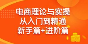 (9576期)电商理论与实操从入门到精通 新手篇+进阶篇-黑斯坦丁项目网