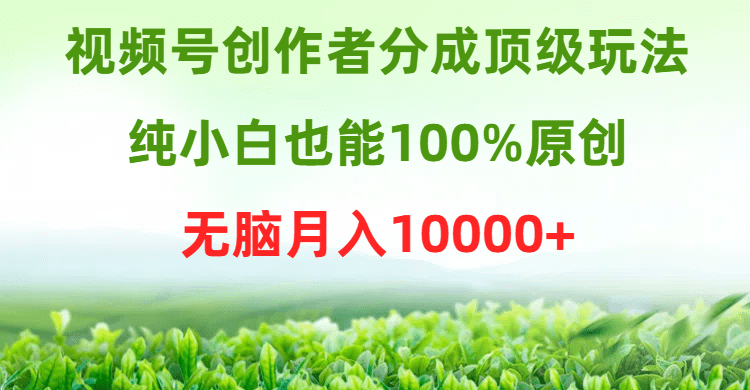 （9608期）视频号创作者分成顶级玩法，纯小白也能100%原创，无脑月入10000+-黑斯坦丁项目网