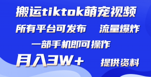 （9618期）搬运Tiktok萌宠类视频，一部手机即可。所有短视频平台均可操作，月入3W+-黑斯坦丁项目网
