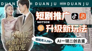 （9620期）短剧推广升级新玩法，AI一键二创去重，轻松月入2w+（教程+素材）-黑斯坦丁项目网