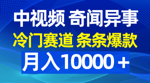 （9627期）中视频奇闻异事，冷门赛道条条爆款，月入10000＋-黑斯坦丁项目网