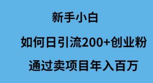 （9668期）新手小白如何日引流200+创业粉通过卖项目年入百万-黑斯坦丁项目网