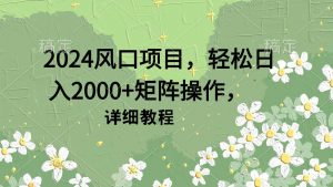 （9652期）2024风口项目，轻松日入2000+矩阵操作，详细教程-黑斯坦丁项目网