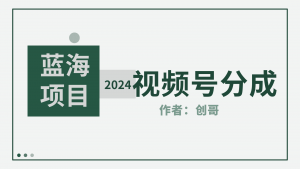 （9676期）【蓝海项目】2024年视频号分成计划，快速开分成，日爆单8000+，附玩法教程-黑斯坦丁项目网